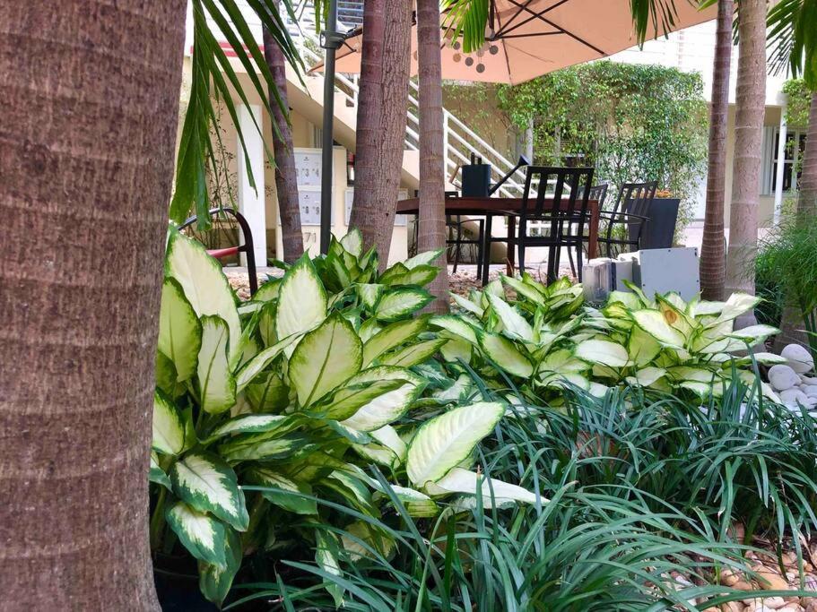 B01 Minutes From The Midtown Wynwood